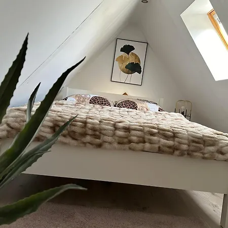 Limehouse * Kudowa-Zdrój