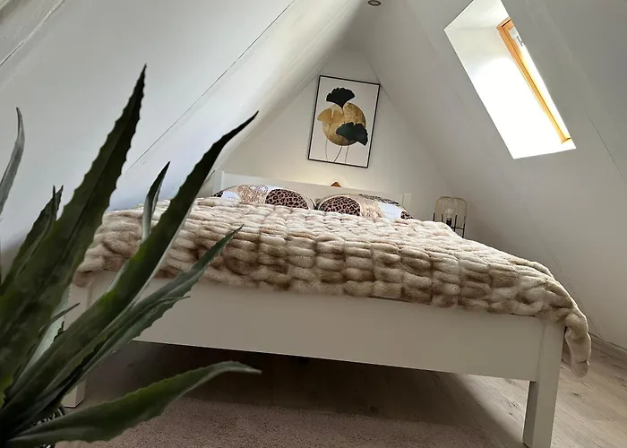 Limehouse * Kudowa Zdroj